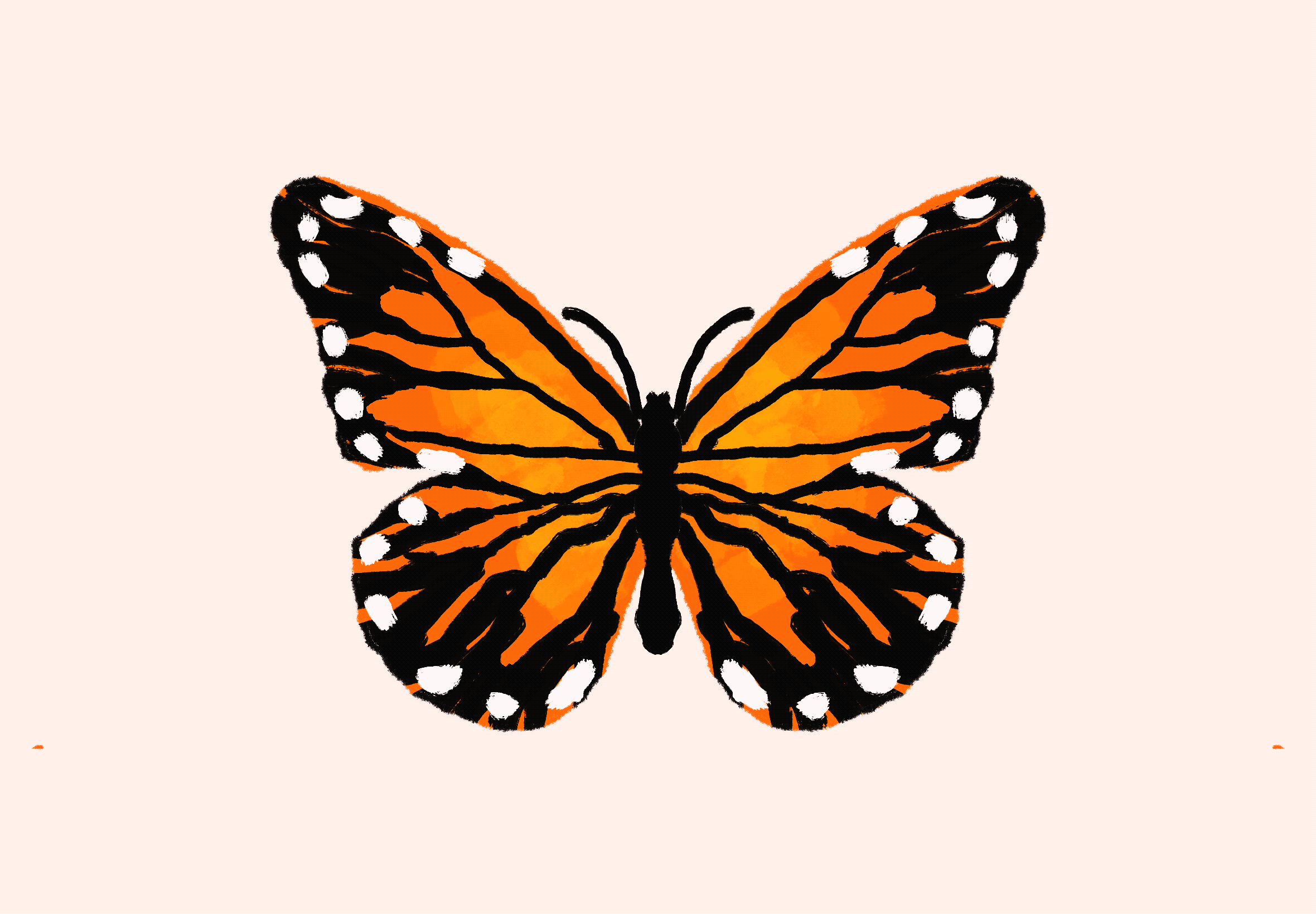 Butterfly Animation